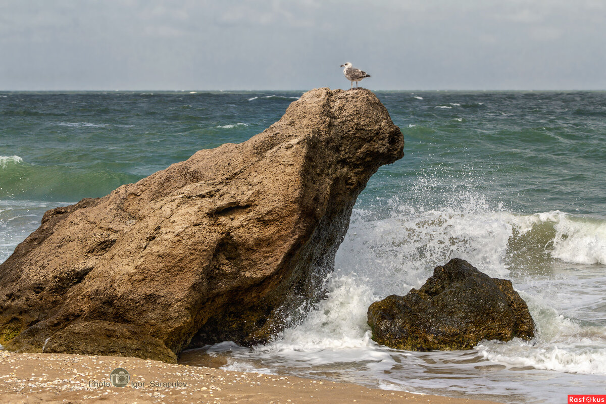 Морской страж - Игорь Сарапулов Морской страж - Игорь Сарапулов