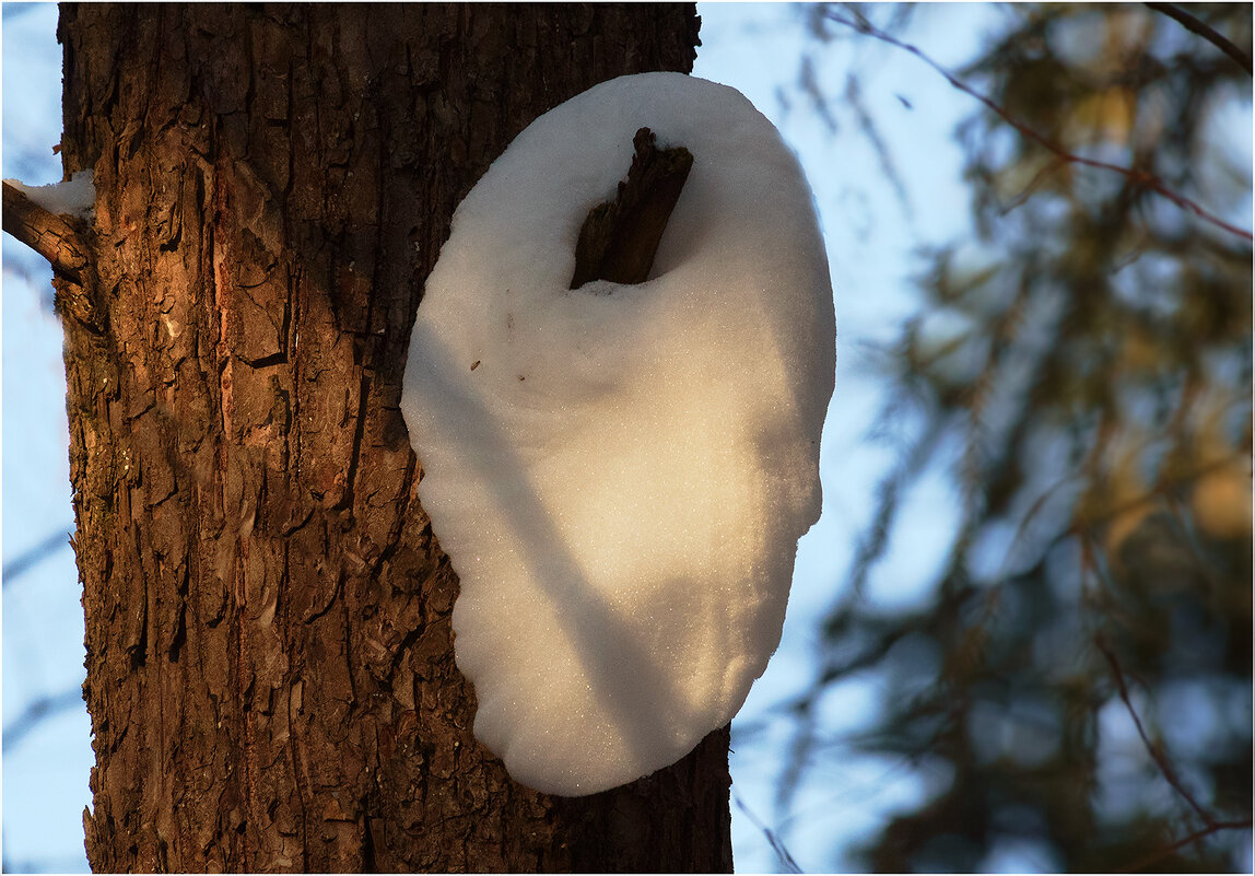 Картинка марта - Валентин Котляров