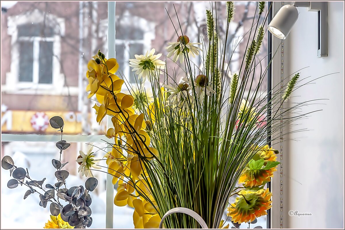 Про цветы... - Aquarius - Сергей Про цветы... - Aquarius - Сергей