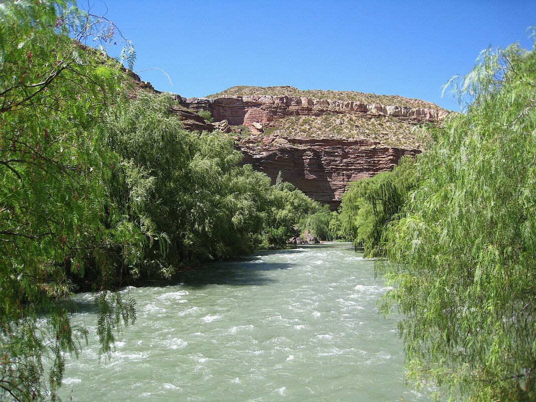 Река Атуэль, Аргентина. - unix (Илья Утропов)