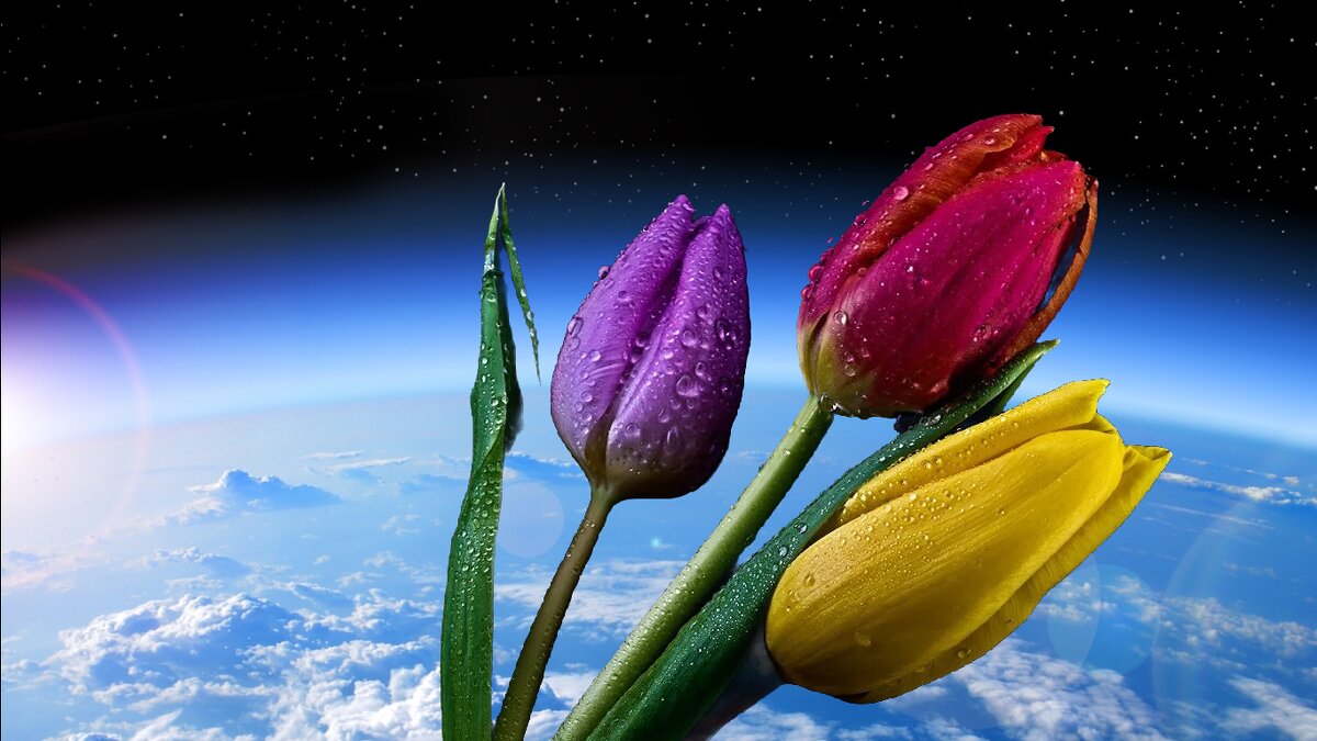 "Международный Женский День" - С Праздником, Дорогие Женщины!... - Игорь Питерский