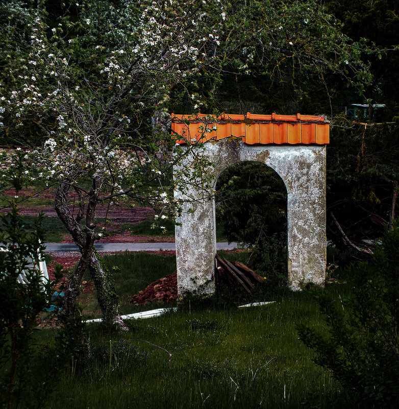 Заброшеный сад - Valziwa 