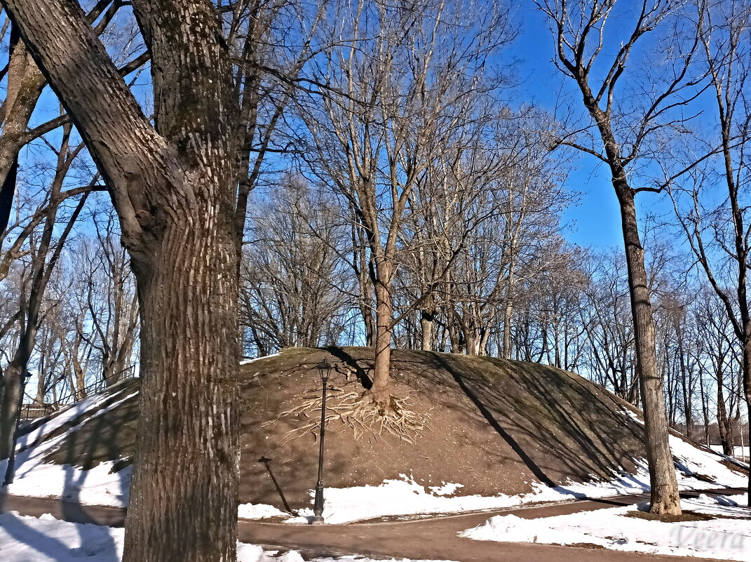 В Тёмном саду - Veera V