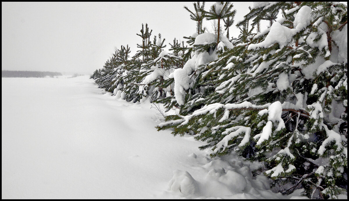После снегопада - **** vedin