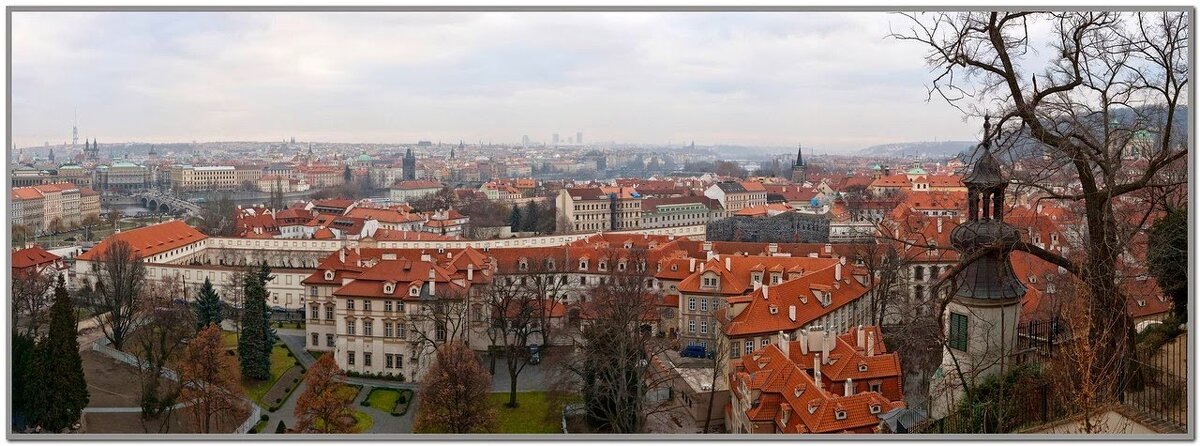 Прага - Tata Wolf