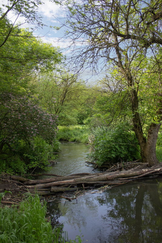 *** - Александр. AVG100 ---