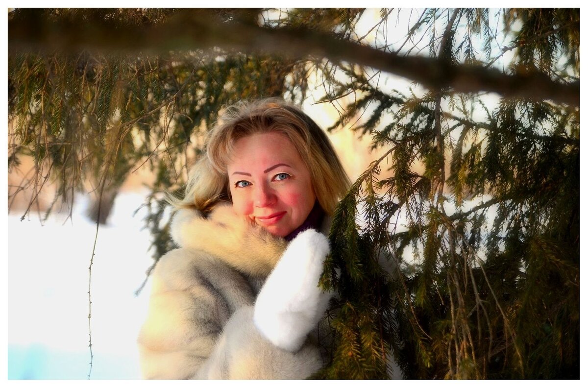 Морозный день. - Михаил Курзанцев