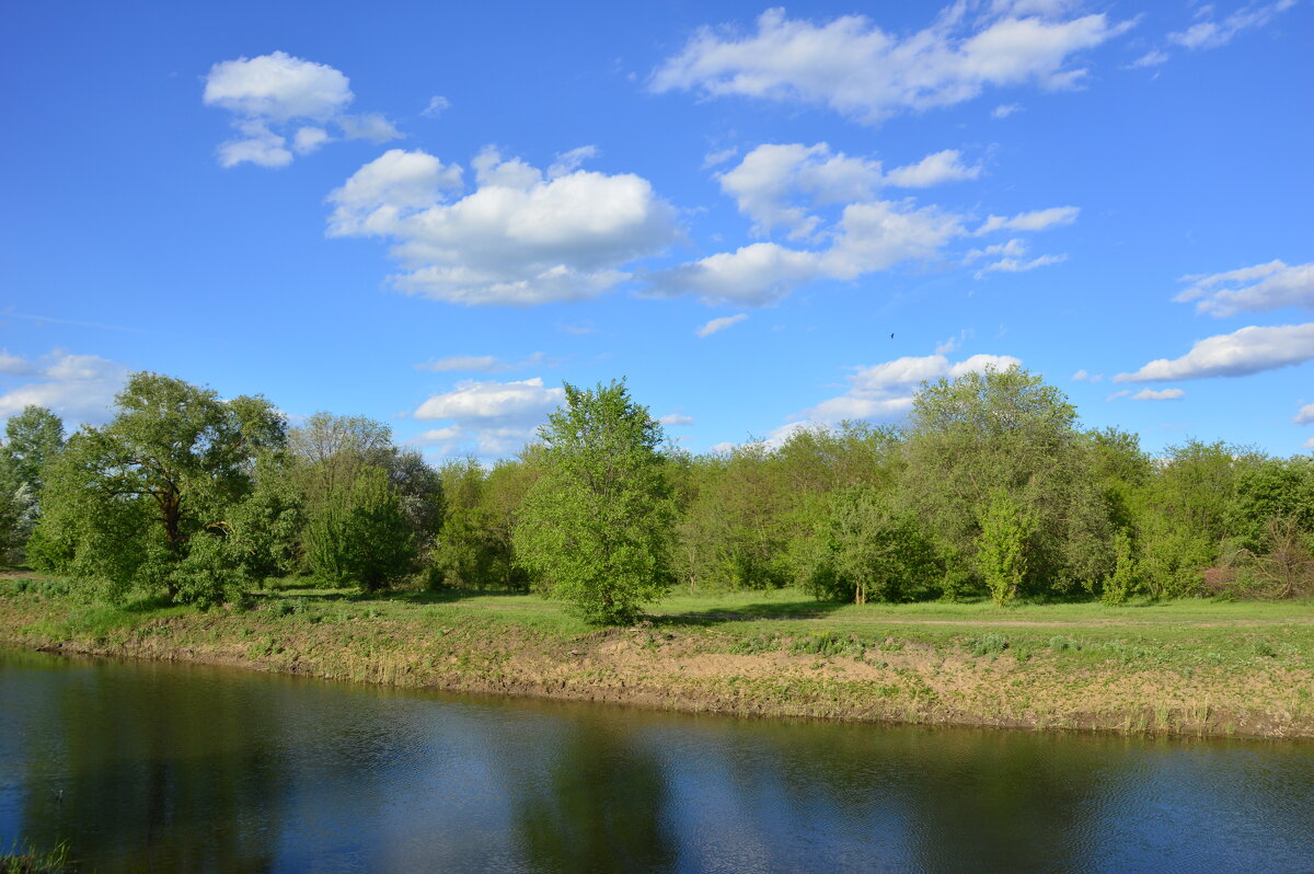 *** - Виктор *** - Виктор