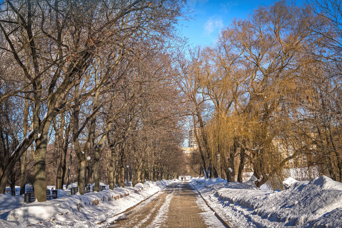 "Прекрасный выходной"© - Владимир Макаров "Прекрасный выходной"© - Владимир Макаров