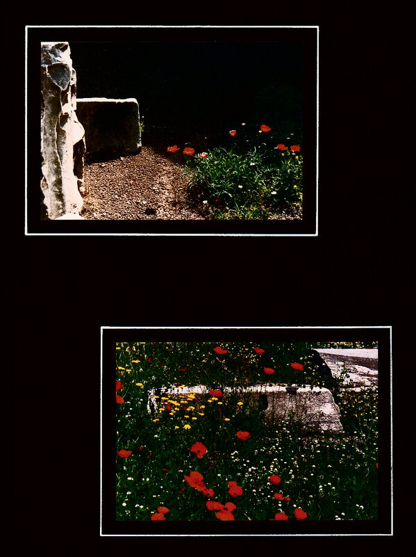 Рим - 18 - Алексей Кузнецов