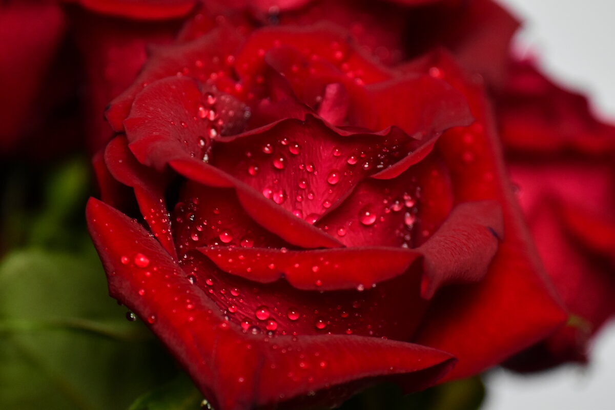 К празднику. - Наталья Вязигина