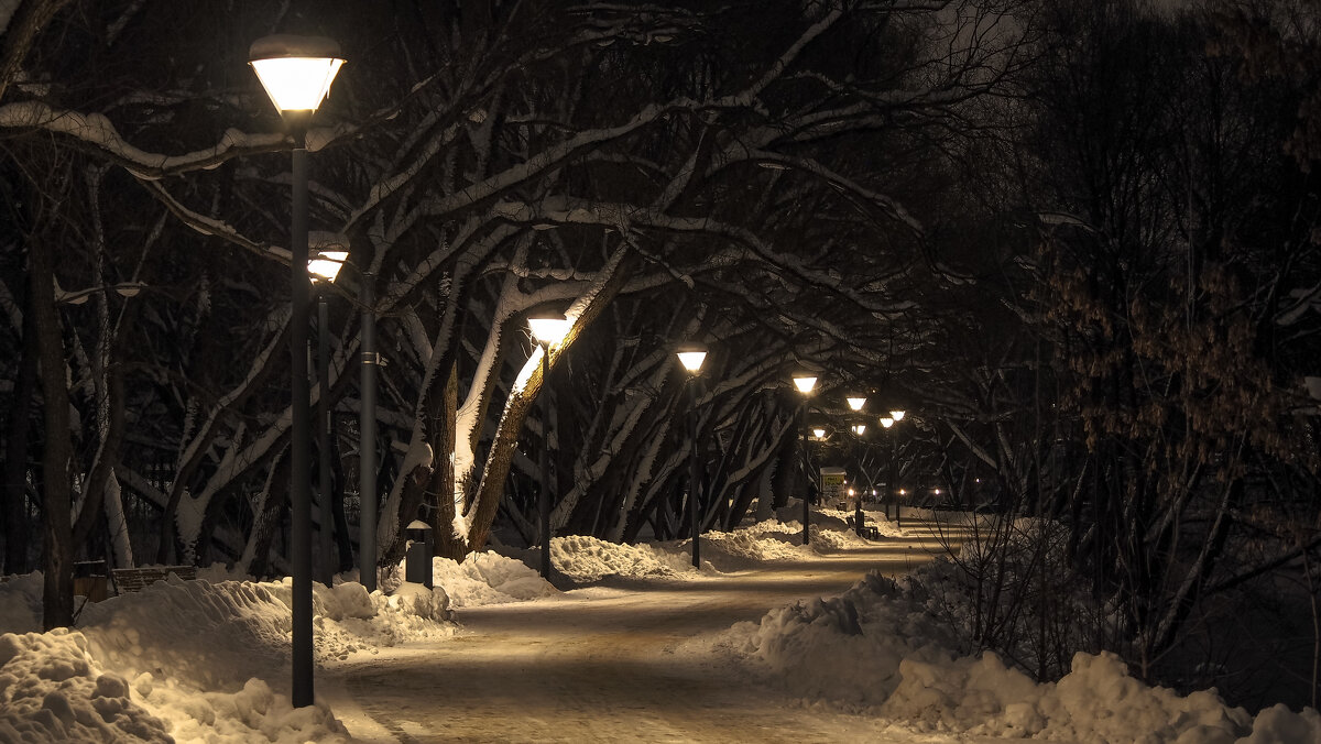 Прогулки в Зимнем Парке - юрий поляков