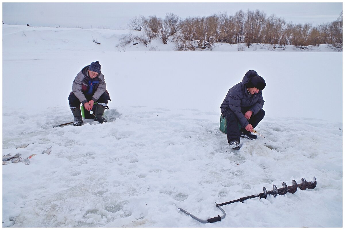 В ожидании поклевки. - Михаил Курзанцев