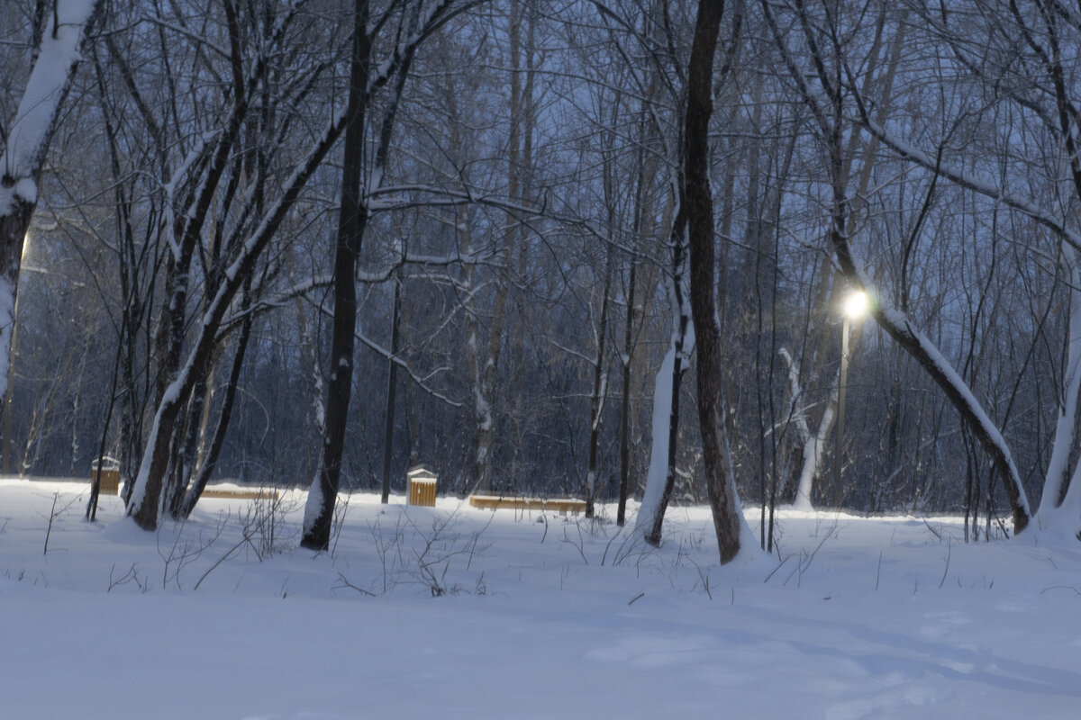 Парк в снегу - Александр Буторин Парк в снегу - Александр Буторин