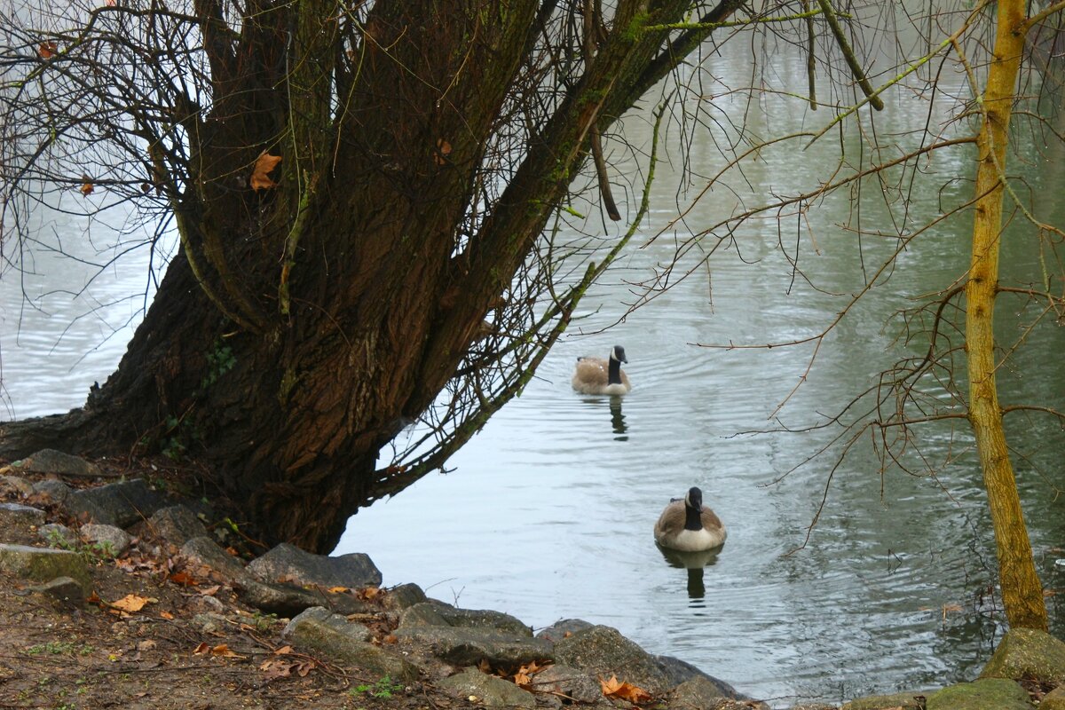 У озера - Юрий. Шмаков