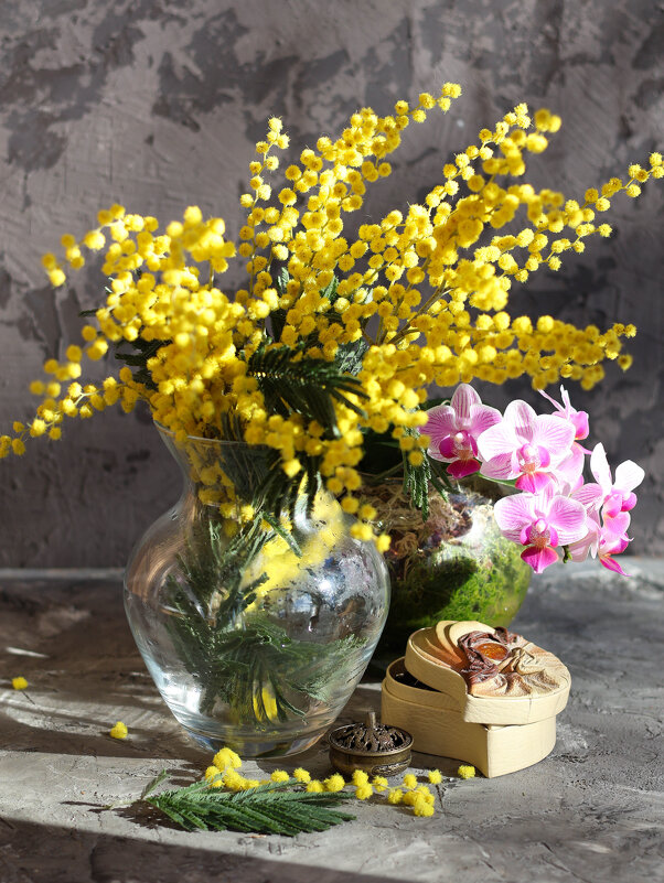 Март - Irene Irene