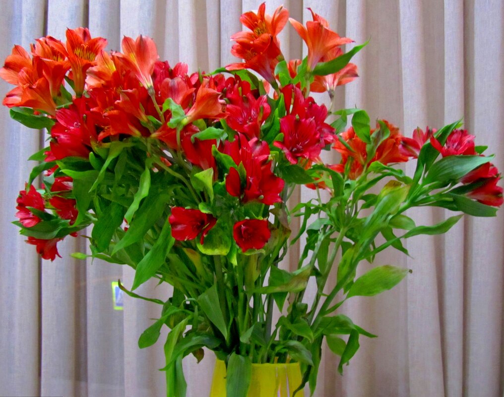 Букет альстромерий - Сергей Карачин