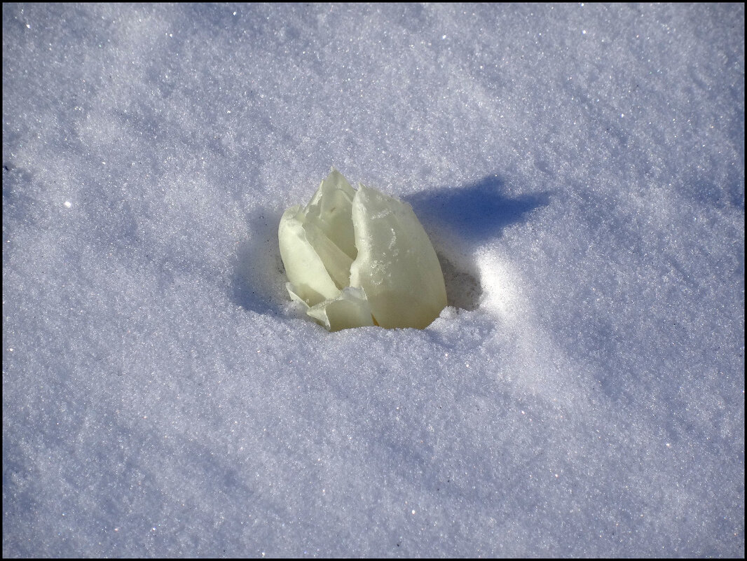 9 марта... - Егор Бабанов