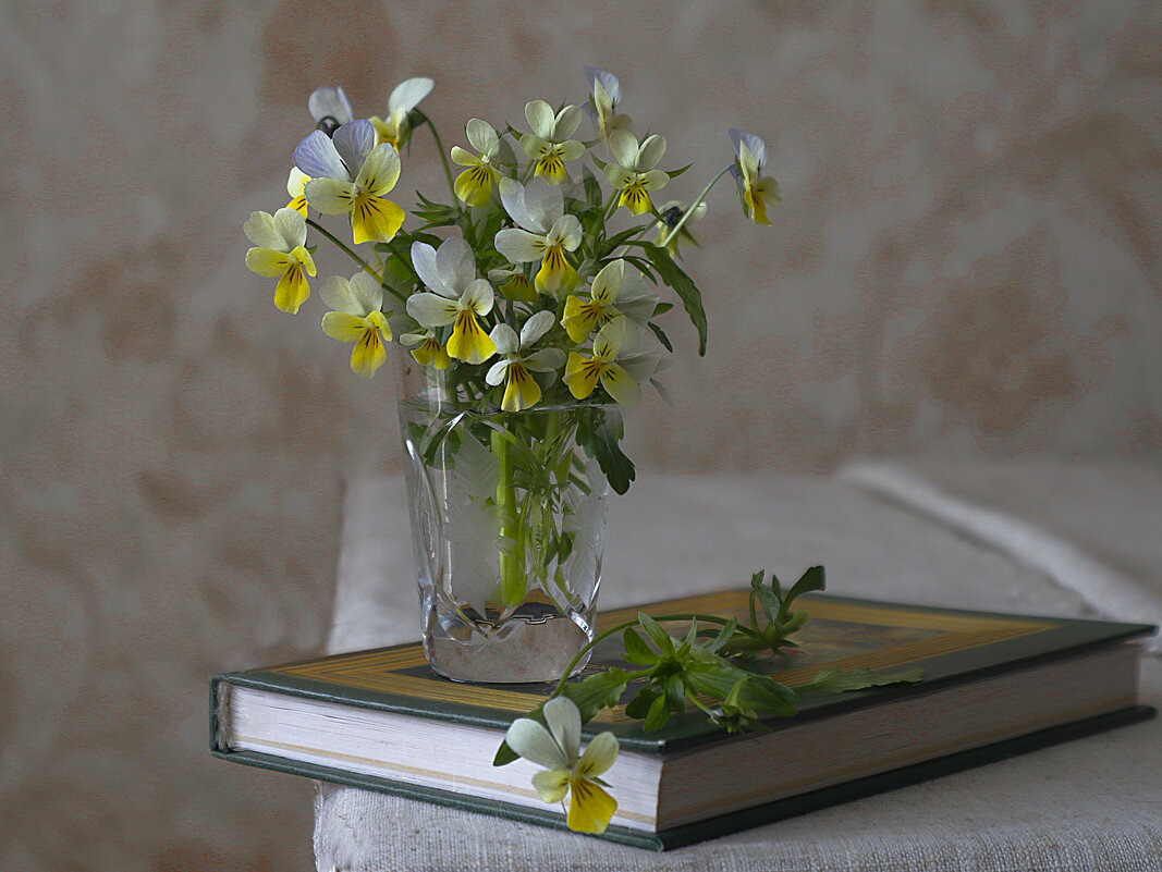 весна - Александра [-/ весна - Александра [-/