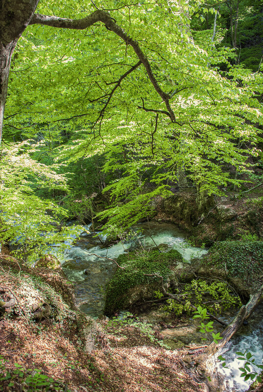 Хочется весны) - Денис Масленников