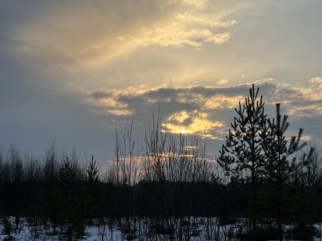 Мартовский закат - Ольга Савельева 