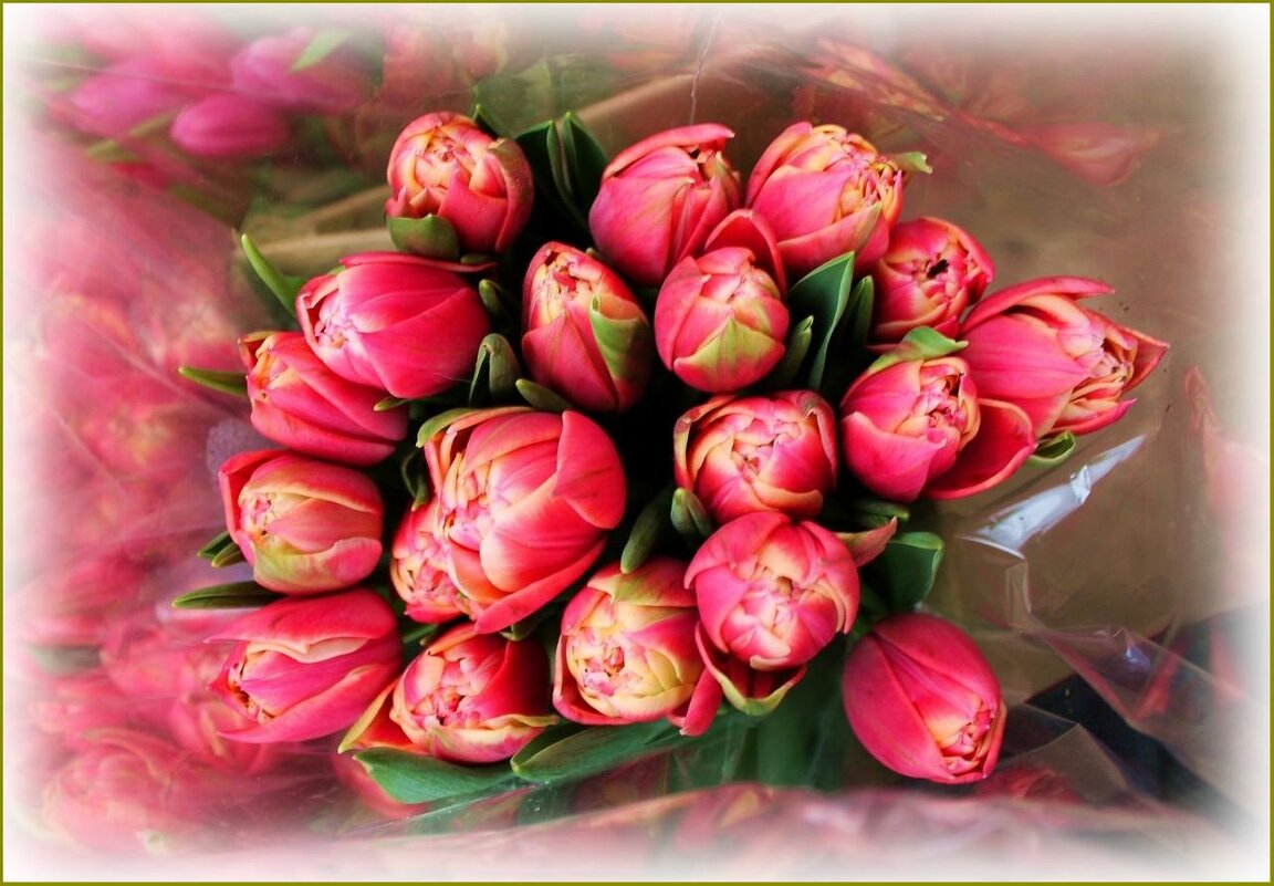 Букет тюльпанов ... - Валентина Надсон