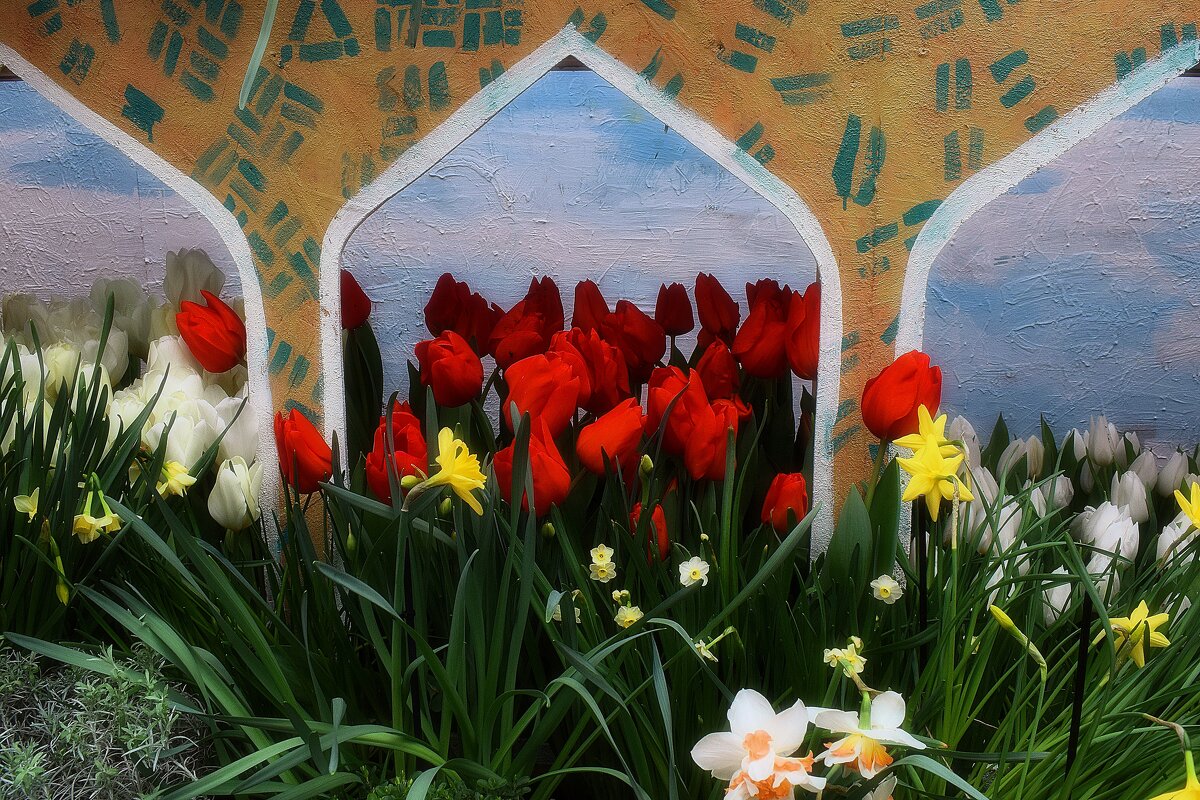 Первые цветы — самые смелые. - Татьяна Помогалова