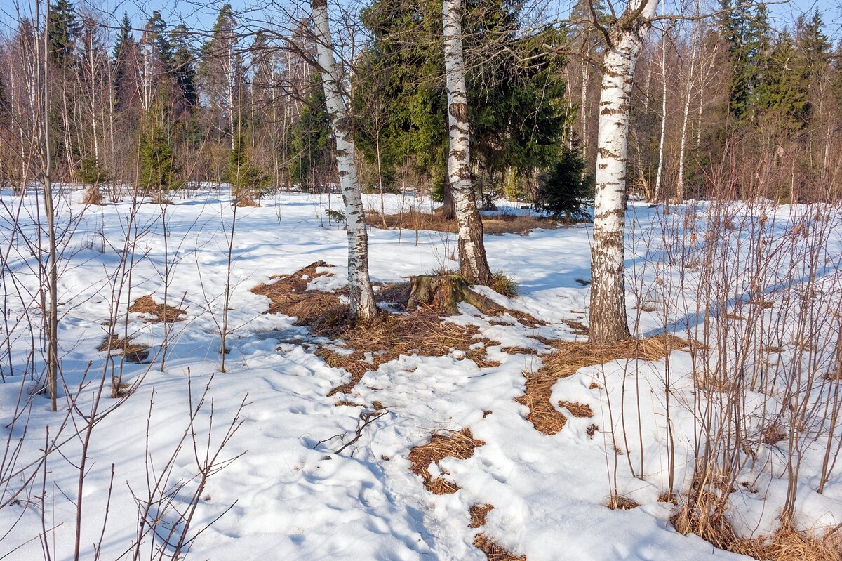 Появляются проталины - Валерий Иванович