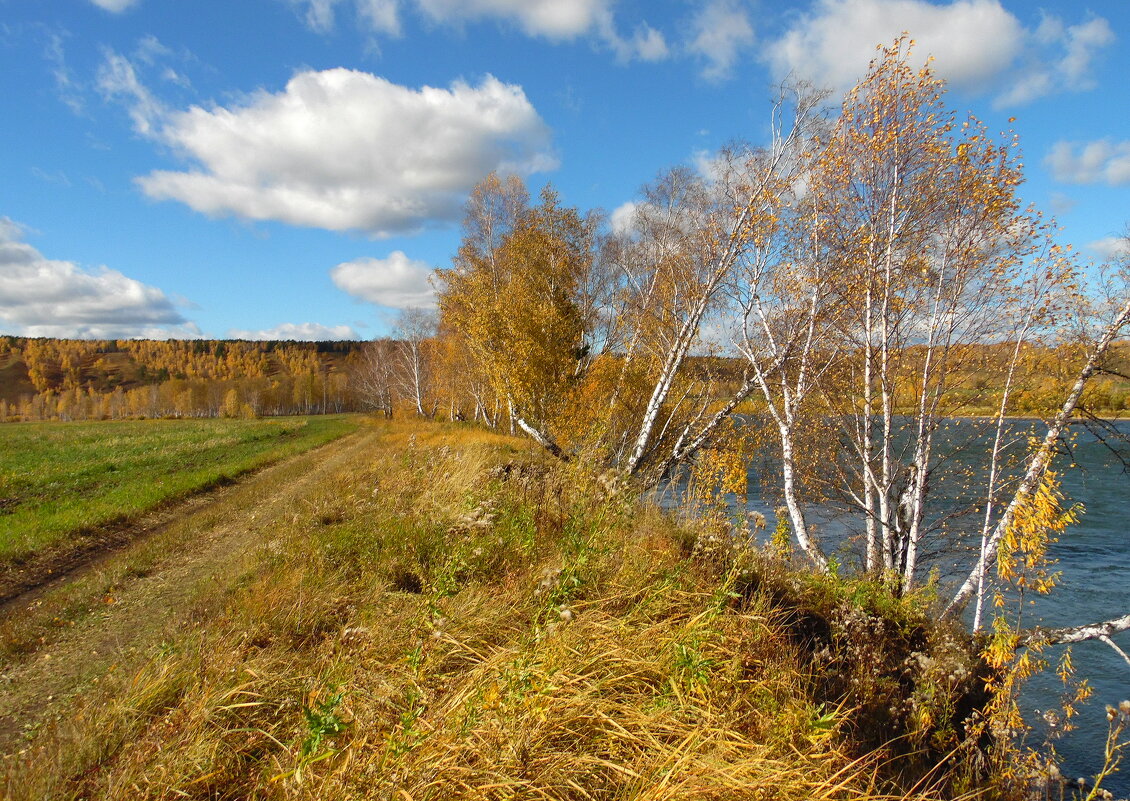 Подмытый бережок. - nadyasilyuk Вознюк