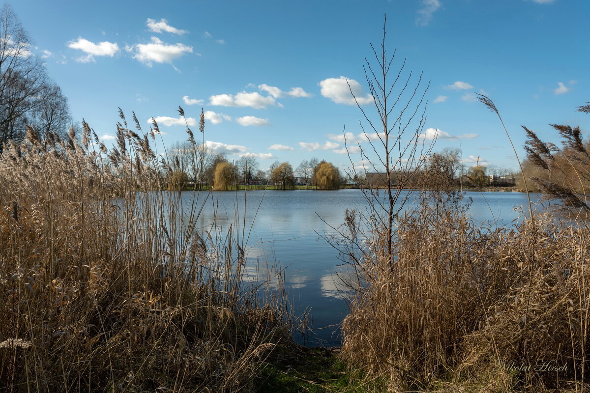 Там, где тростник... - Николай Гирш