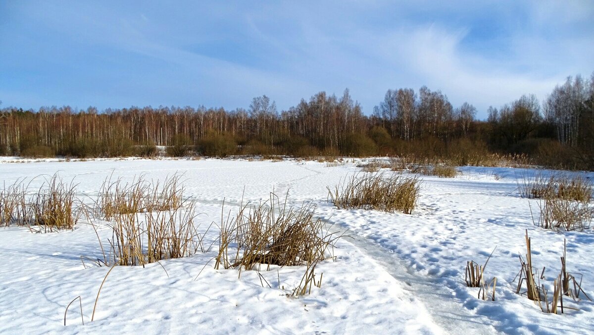 Смоленская весна. - Милешкин Владимир Алексеевич 