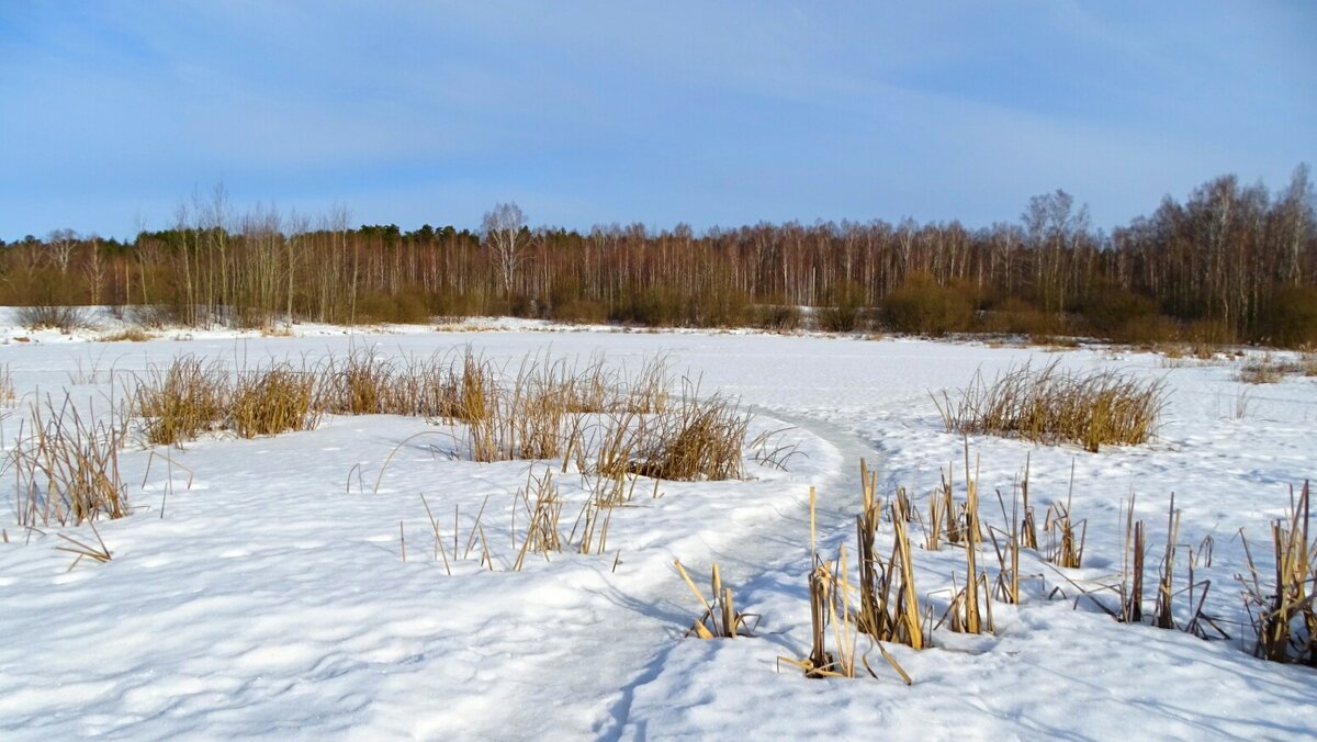 Тропа рыбаков на озёрном льду. - Милешкин Владимир Алексеевич 