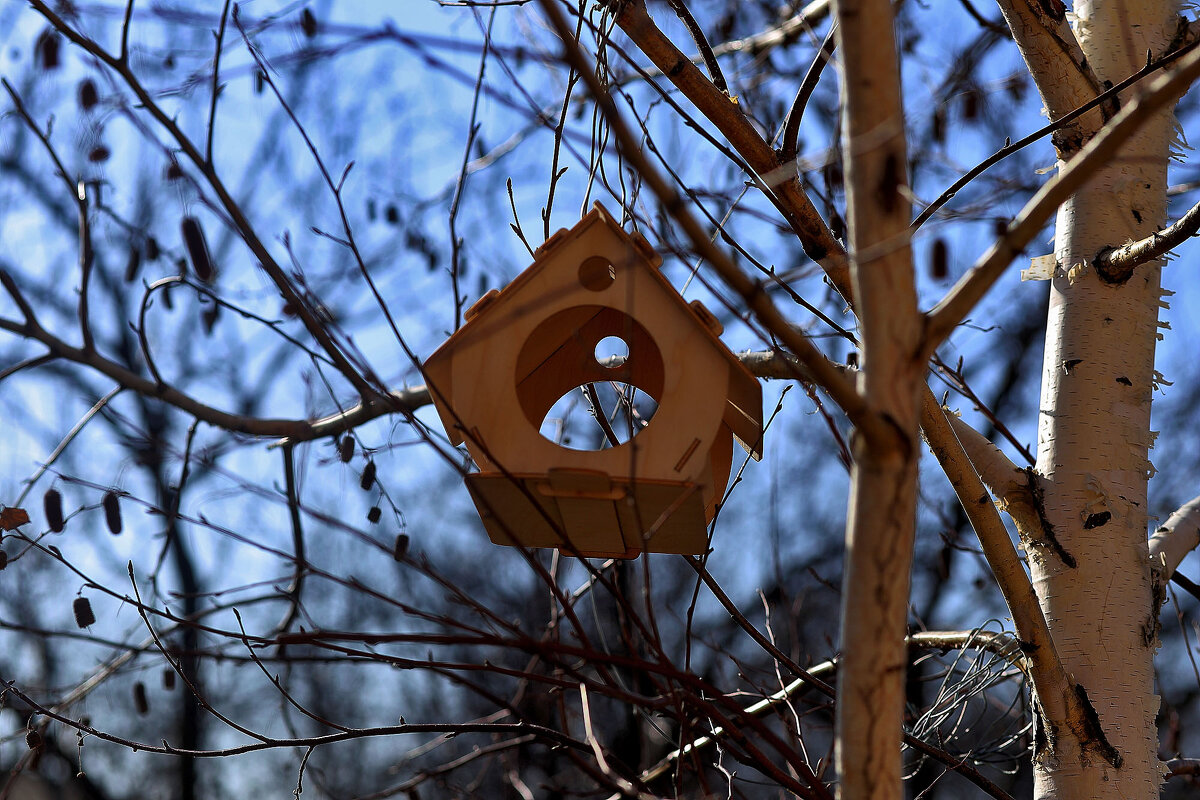 Весна! - Юрий Гайворонскiий