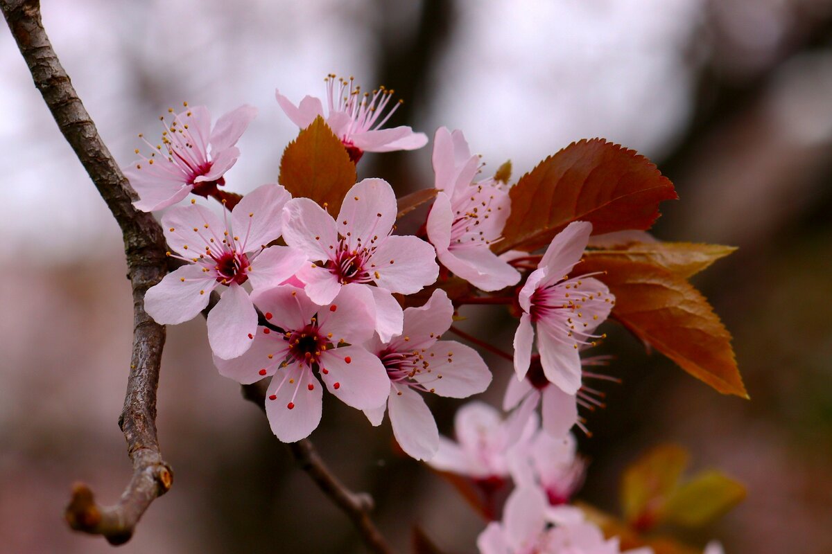 Доброе утро - Юрий. Шмаков