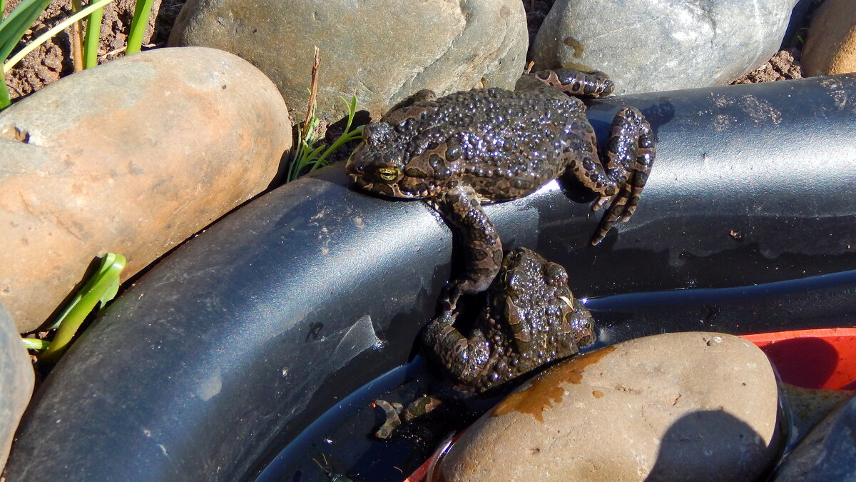 Подвинься... - ВикТор Быстров