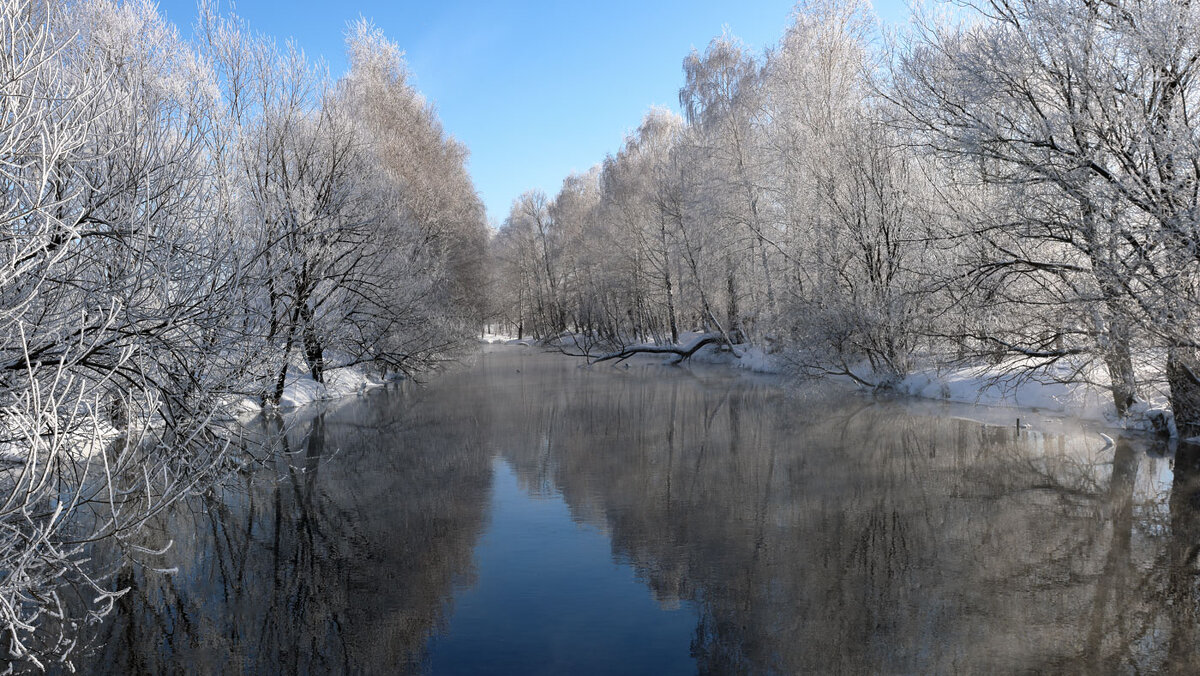 ***** - владимир 