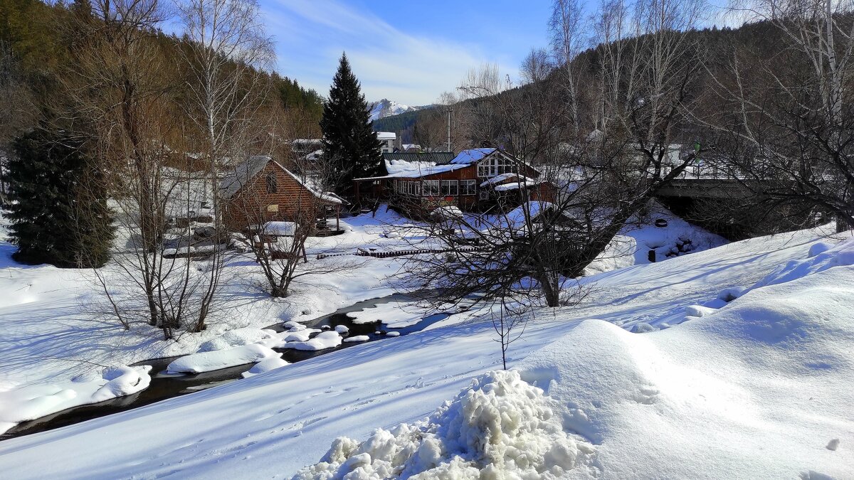 Белокуриха весенняя - Татьяна Лютаева