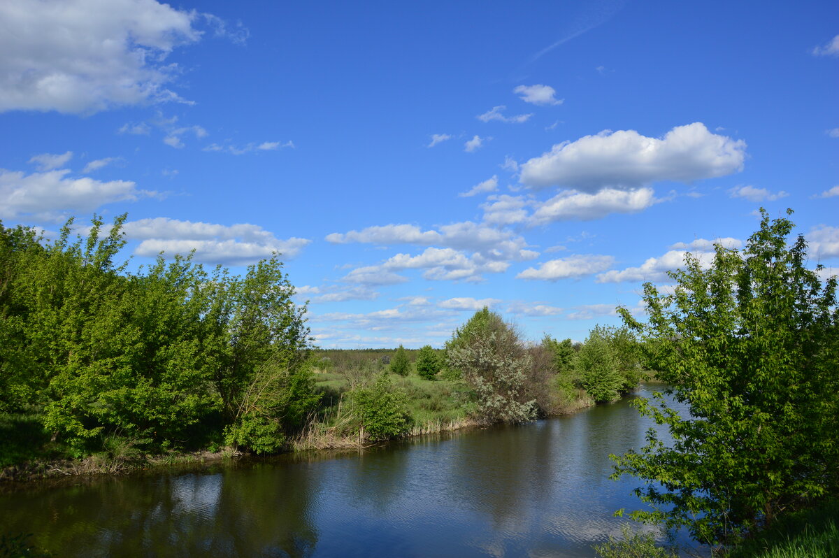 У реки. - Виктор 