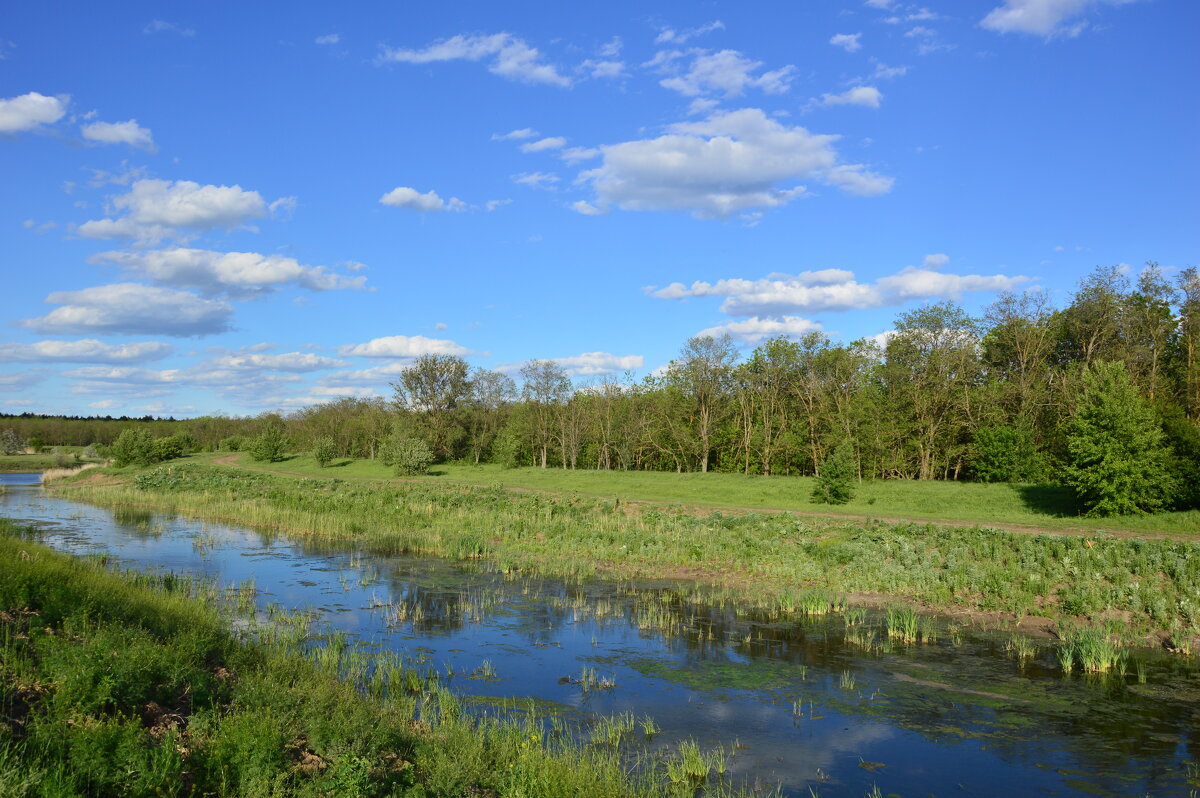 Вечер тишина. - Виктор 