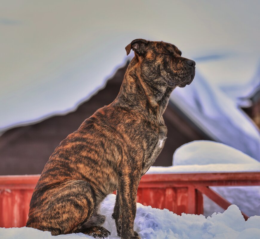 Медитация - Андрей C