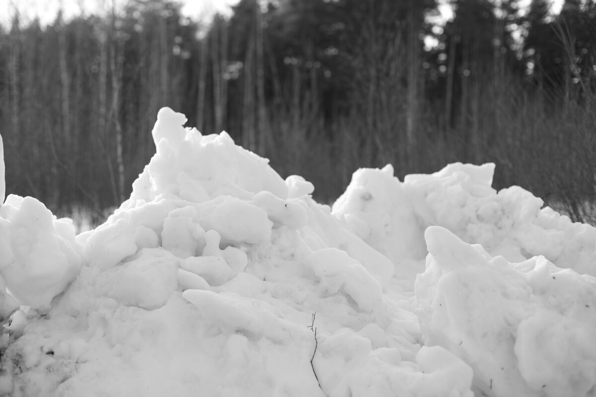 Мечты о ч/б Лейке 55. - Михаил Елочкин