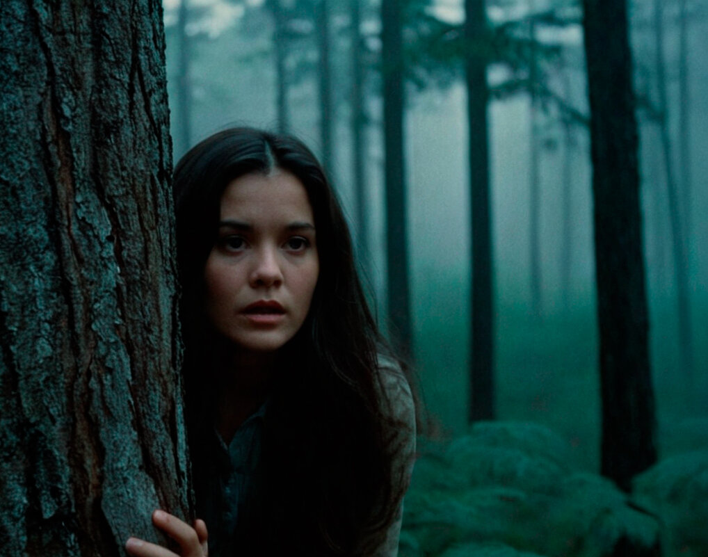 Имитация пленки2 - ura Зелев