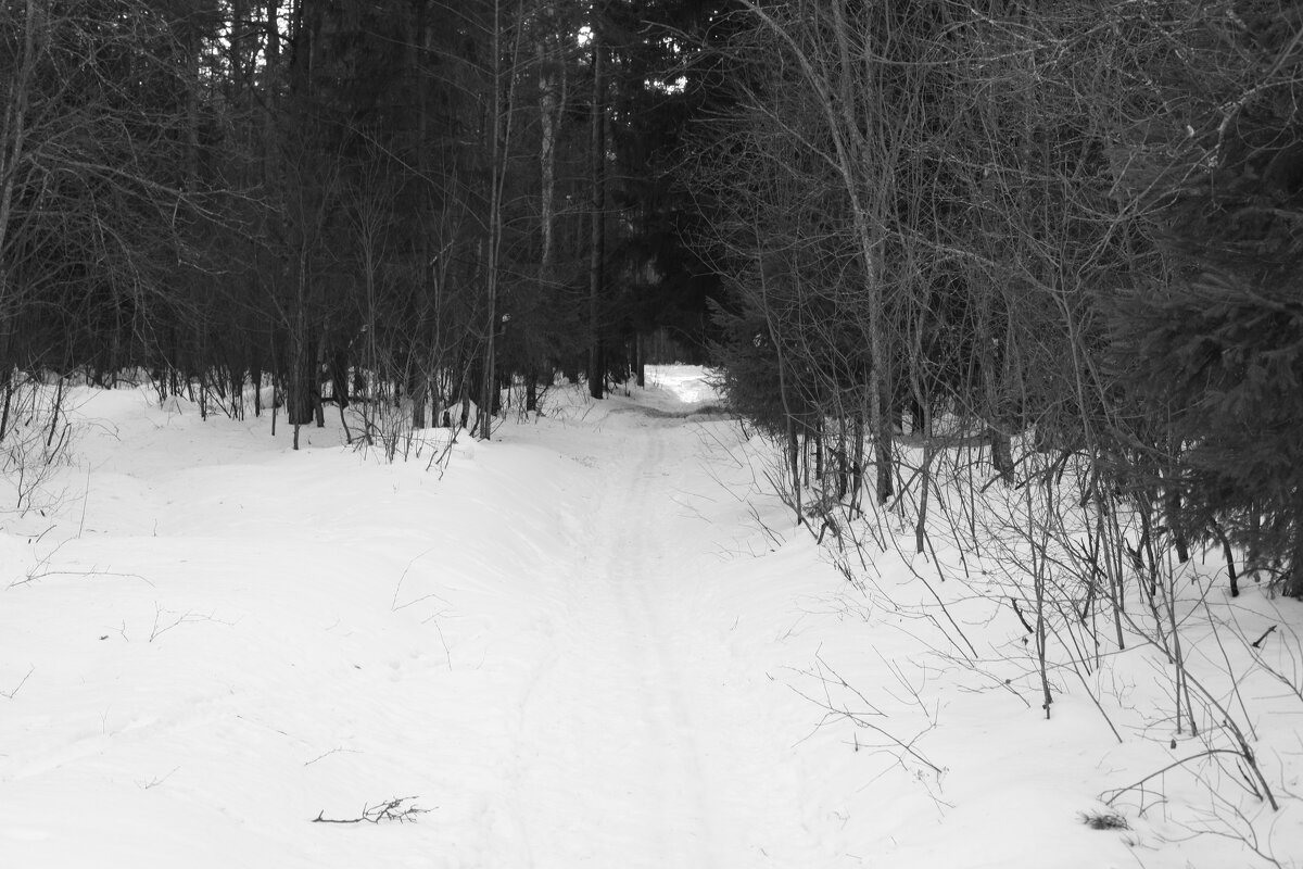 Мечты о ч/б Лейке 59. - Михаил Елочкин