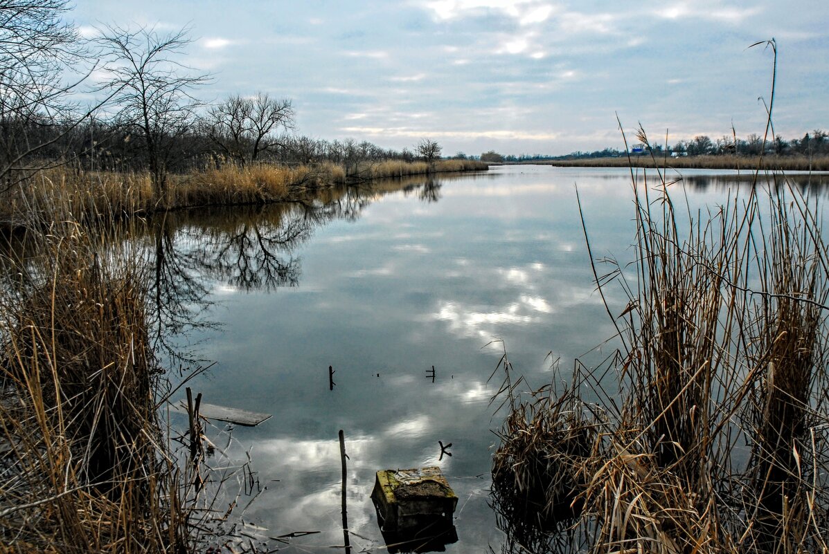 Весна. - Владимир 