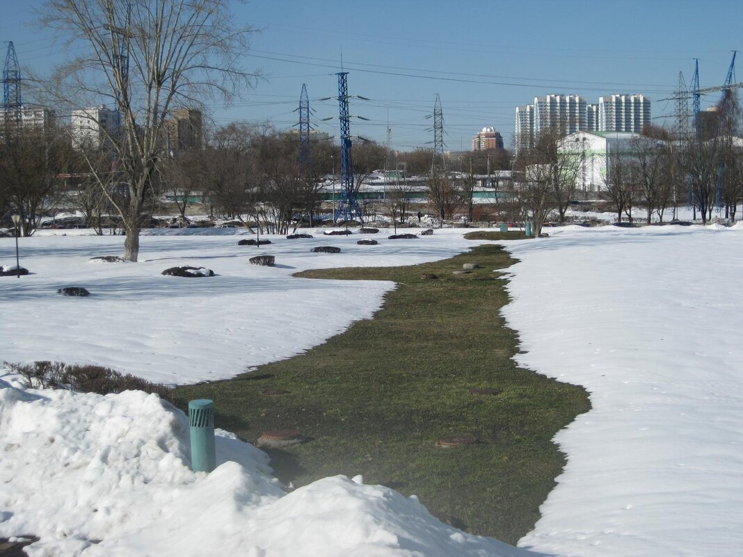 Первые проталины - Дмитрий Никитин