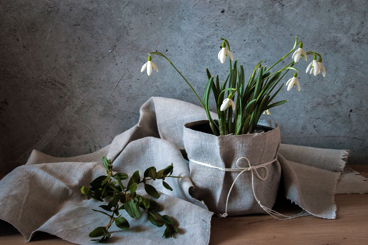 ... - Елена Пономарева