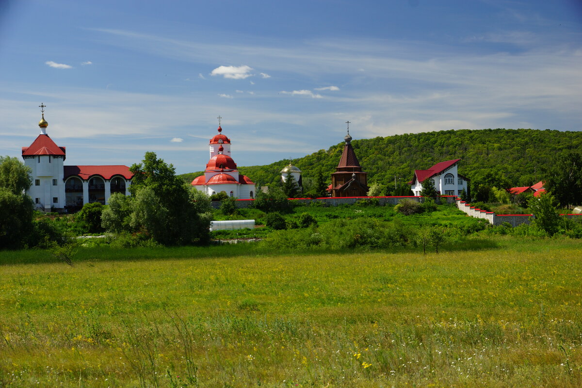 вид на женский Заволжский монастырь - Ирина Милонова