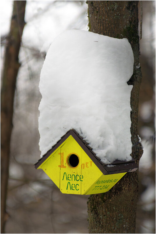 Припорошило... - Валентин Котляров