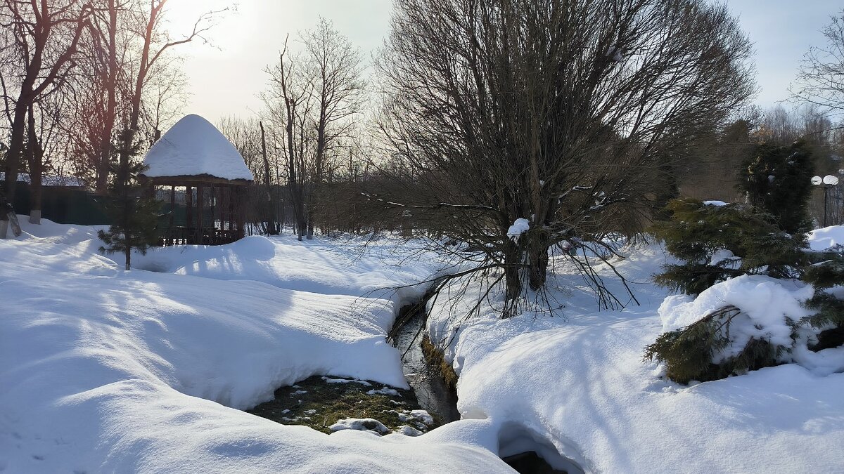 В Мураново. - Ольга 