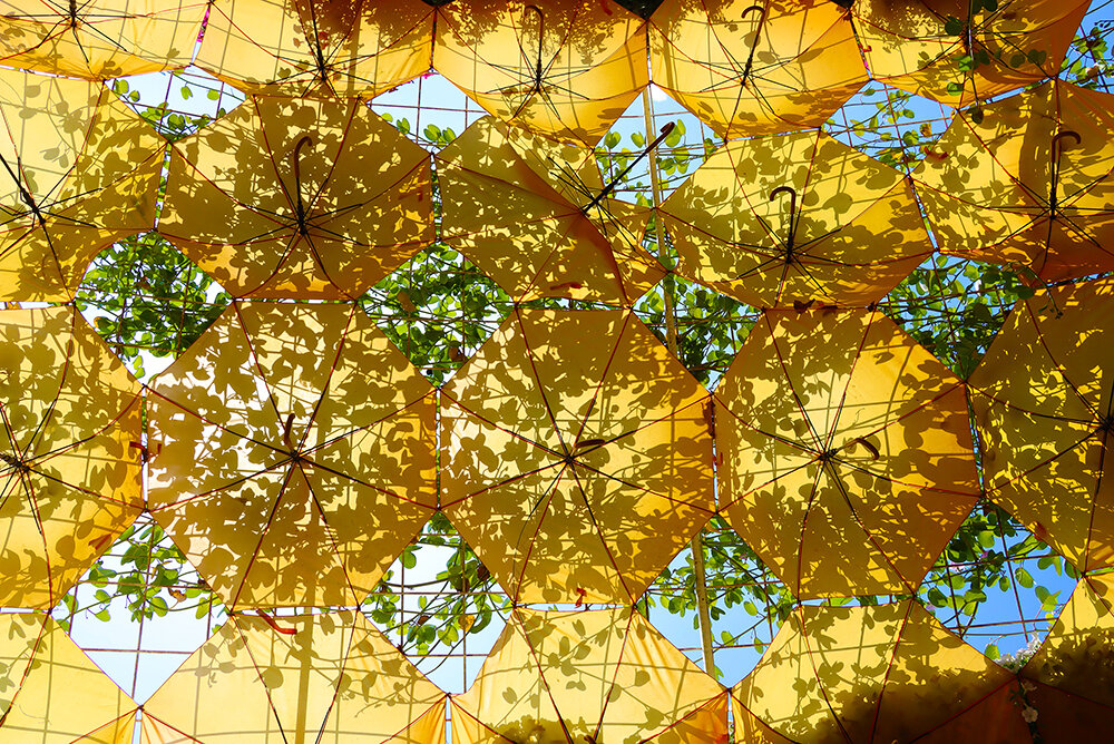 Зонтики в интерьере парка цветов - Галина Ильясова